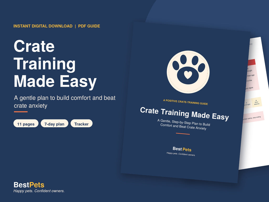 Crate Training Made Easy: Build Comfort and Beat Crate Anxiety