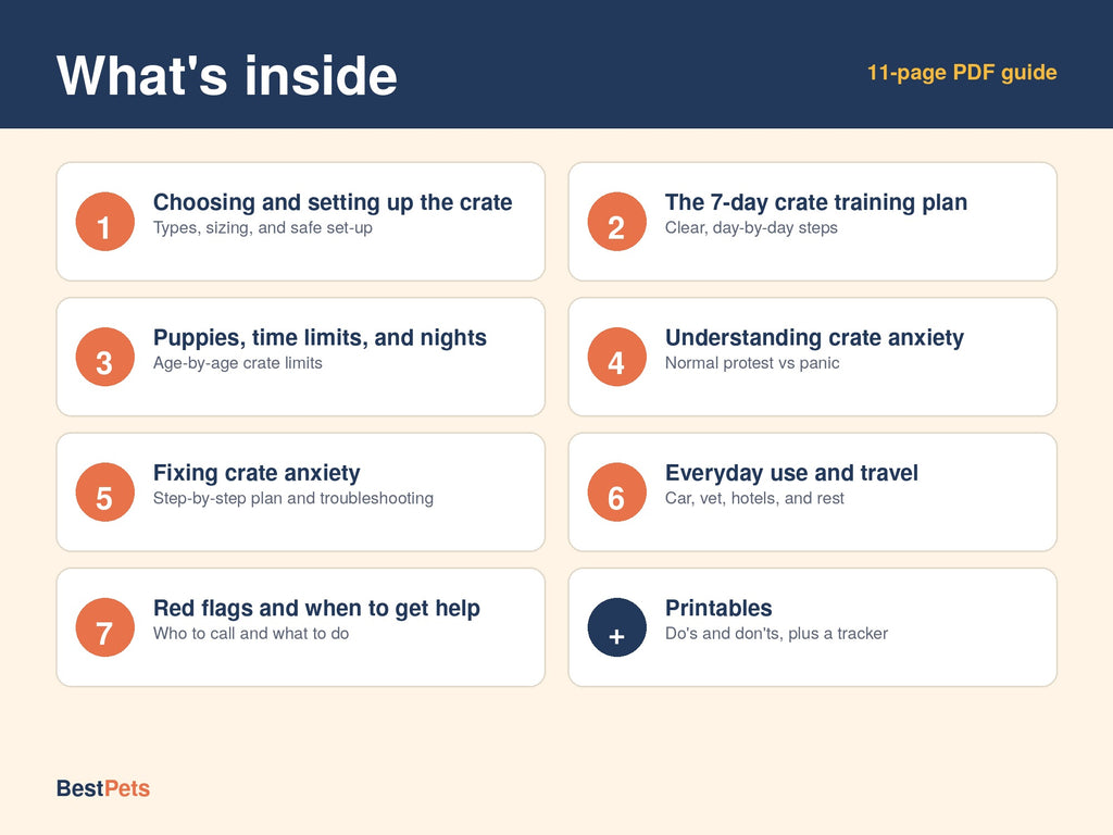 Crate Training Made Easy: Build Comfort and Beat Crate Anxiety