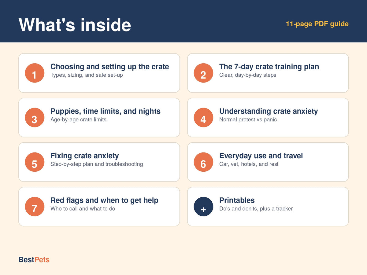 Crate Training Made Easy: Build Comfort and Beat Crate Anxiety