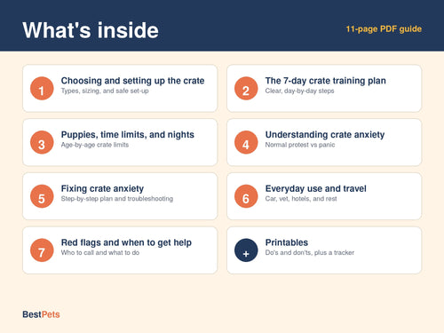 Crate Training Made Easy: Build Comfort and Beat Crate Anxiety