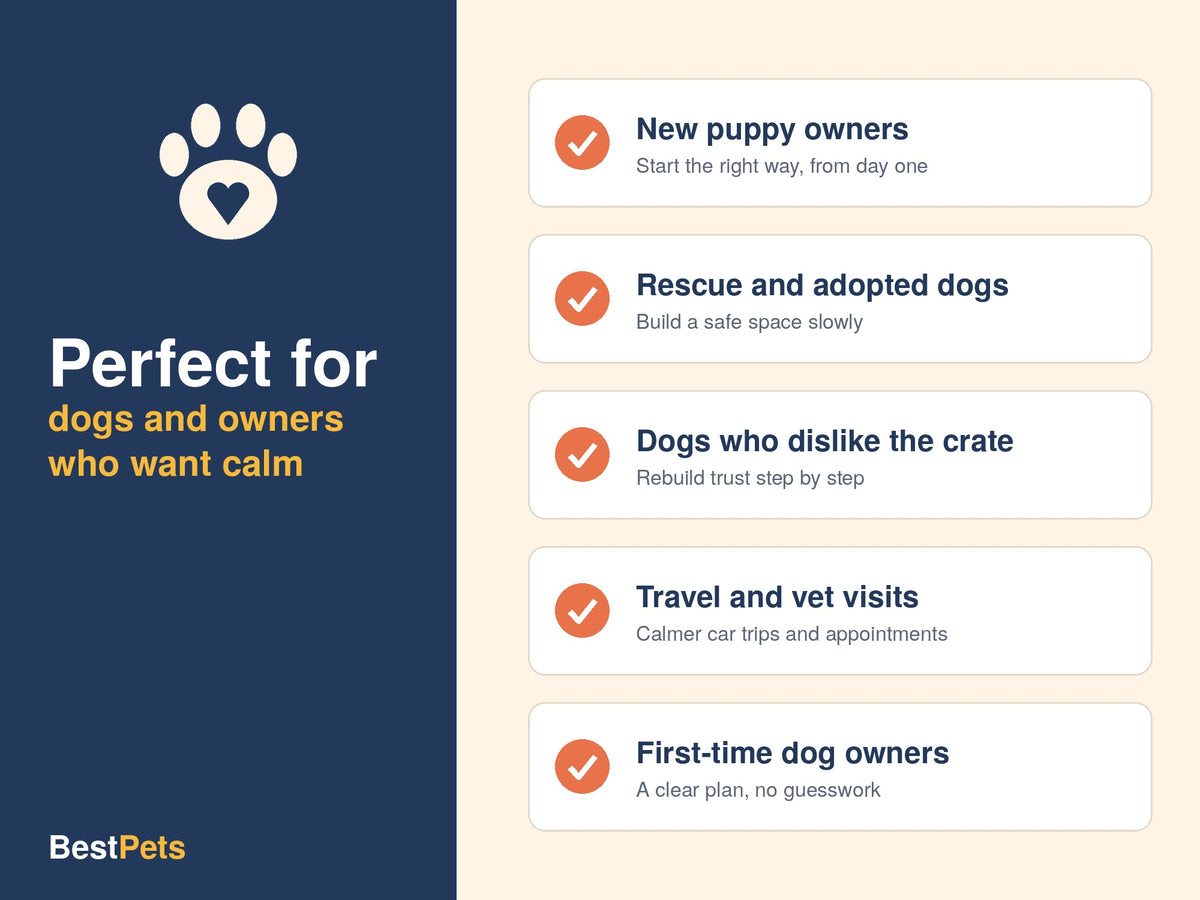 Crate Training Made Easy: Build Comfort and Beat Crate Anxiety